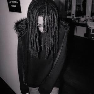 projects - tana