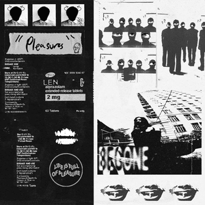 Pleasures - Your Neighbors