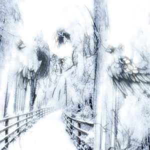 coldness - stacybae