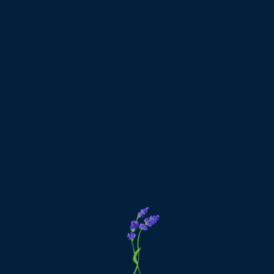 rip - gnash (Ft. Buddy & QUIN)