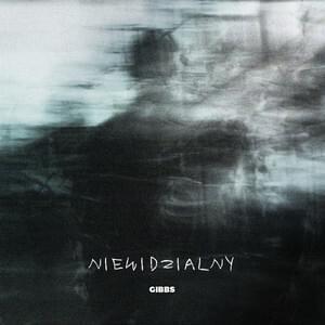 Niewidzialny - Gibbs