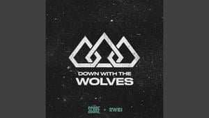 Down With The Wolves - The Score & 2WEI