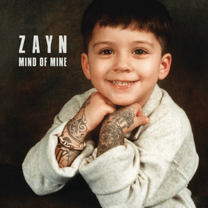rEaR vIeW - ZAYN