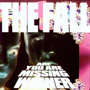 Gotta See Jane - The Fall