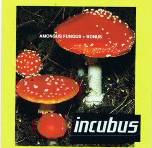 Divided - Incubus