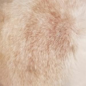 benthic - yayu