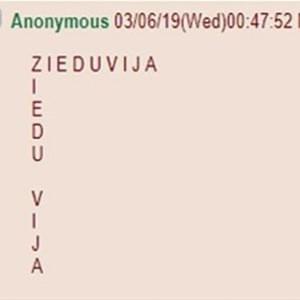SS - Ziedu Vija