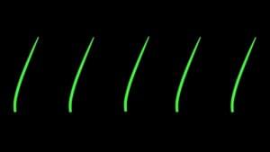 maybe i could eat blades of grass - Bill Wurtz