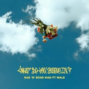 What Do You Believe In? (Remix) - Rag'n'Bone Man (Ft. Wale)
