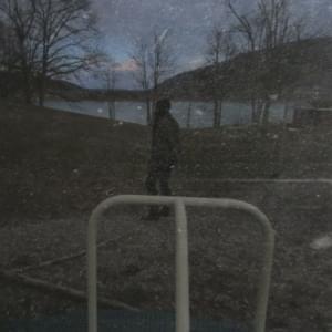 stupid - guardin