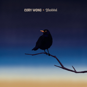 Blackbird - Cory Wong