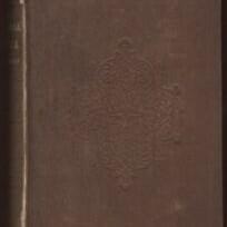 The Blithedale Romance (Chap. 19) - Nathaniel Hawthorne