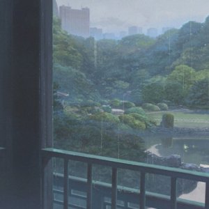 Into The Trees - guardin