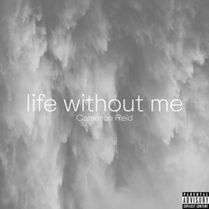 life without me - Cameron Reid