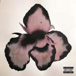 Area Codes - xtsy*