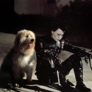 scissor hands - 9TAILS