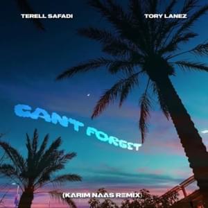 Can’t Forget (Karim Naas Remix) - Terell Safadi