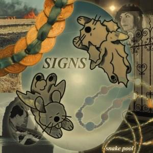 sundog - SNAKE POOL