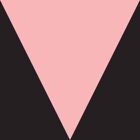 Private Dancer - Meshell Ndegéocello