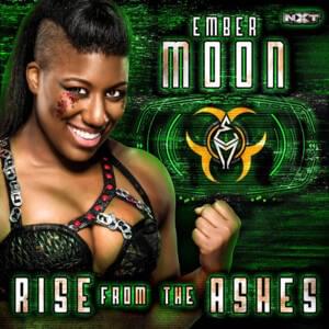 Rise from the Ashes - def rebel