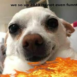 me ## 2023 - dogefan26