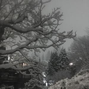 снег (snow) - elox1m