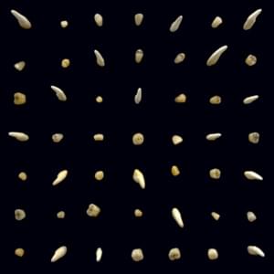 Intro (VOBBB) - clipping.