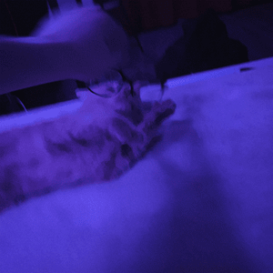 всё не то (Sped Up) (everything is not right) - nowkie