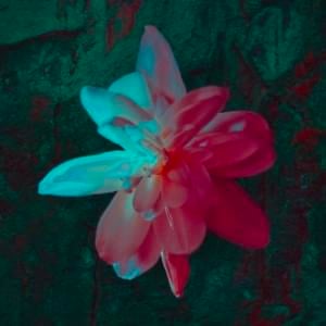 Pancarona - Barasuara