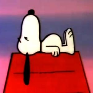 another day. - Zzz.