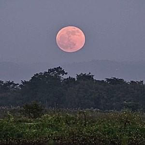 Under The Moon - Drippin So Pretty