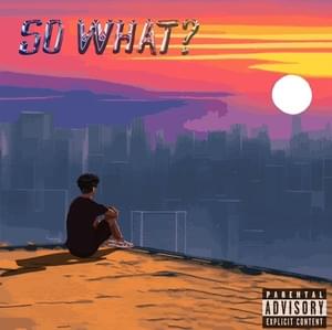 SO WHAT? - hako