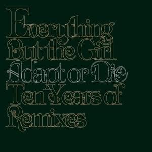 Downhill Racer (Kenny Dope Mix) - Everything But The Girl