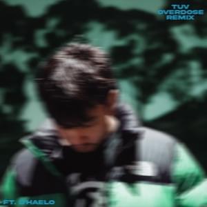 overdose (remix) - D'Haelo (Ft. tuv)