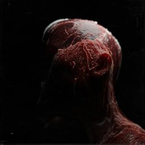 FESTIVE EBONY MIDGET SCAT PHENOMENON - nAvvvi