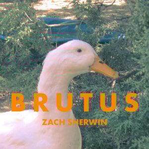 Duck III (Original Pun Ending) - Zach Sherwin