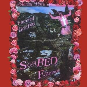 Birds in My Tree - Ariel Pink's Haunted Graffiti