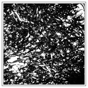 mobb2it - clipping.