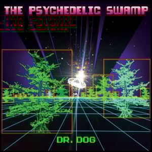 Swamp Is On - Dr. Dog
