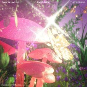 Calvin Harris & The Weeknd - Over Now (ترجمهی فارسی) - Lyrxo Farsi Translations (ترجمهی فارسی)