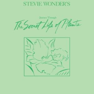 A Seed’s a Star / Tree Medley - Stevie Wonder