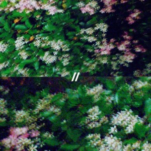 light demo***** - Abhi//Dijon (Ft. FWDSLXSH & Romil Hemnani)