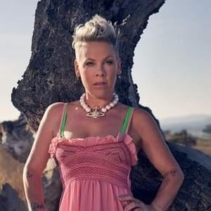 Sober (Music Video Version) - P!nk