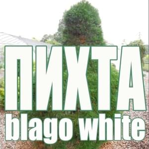Пихта (Fir) - blago white