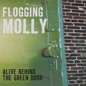 Never Met A Girl Like You Before - Flogging Molly