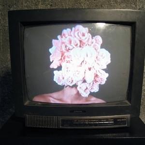selfdestructive nihilism - dandelion hands