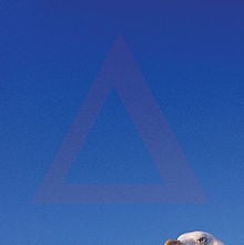Bloodflood - alt-J