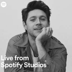 Meltdown (Live from Spotify Studios) - Niall Horan