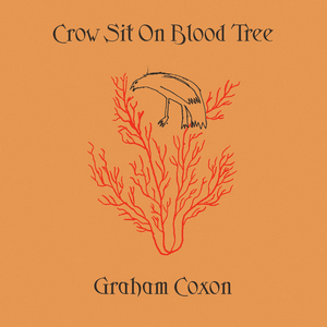 Big Bird - Graham Coxon