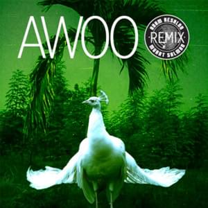 Awoo (Adam Aesalon & Murat Salman Remix) - SOFI TUKKER (Ft. Betta Lemme)